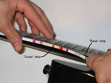 Scale-Strips